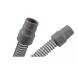 ㄓ 苈        