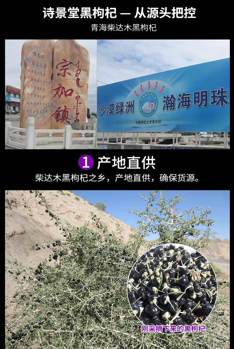 Black Wolfberry_12.jpg