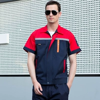 Тибетский синий с красной вершиной (анти -светлая полоса)