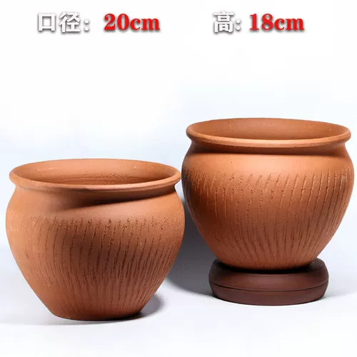 Сочный маг старый куча высокий бассейн зеленый укроп фиолетовый песчаный танк Толстый керамический зазор.