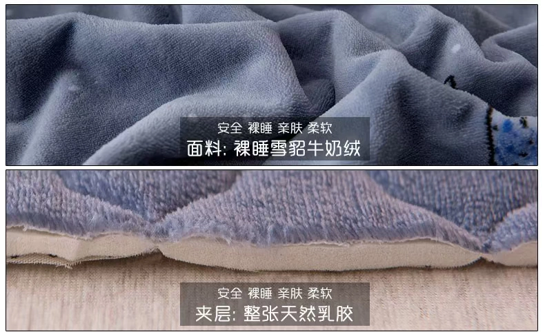 Bộ trải giường mùa đông một mảnh khăn trải giường cao su flannel san hô bằng vải nhung dày dặn bảo vệ tấm trải giường - Trang bị Covers