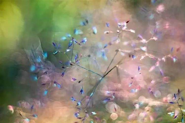 50、85、135焦段，对拍人像的作用