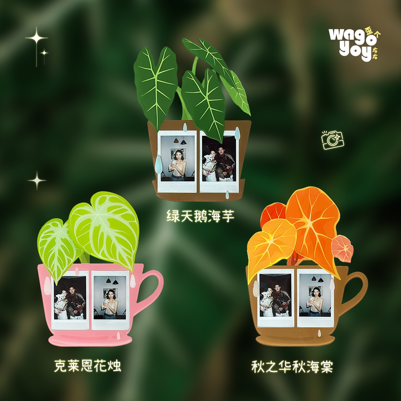 Wagyoyo Hot Plant Series Polaroid Photo Frame Photo Frame 3inch 5inch ins Wind Plant Acrylic Photo Frame