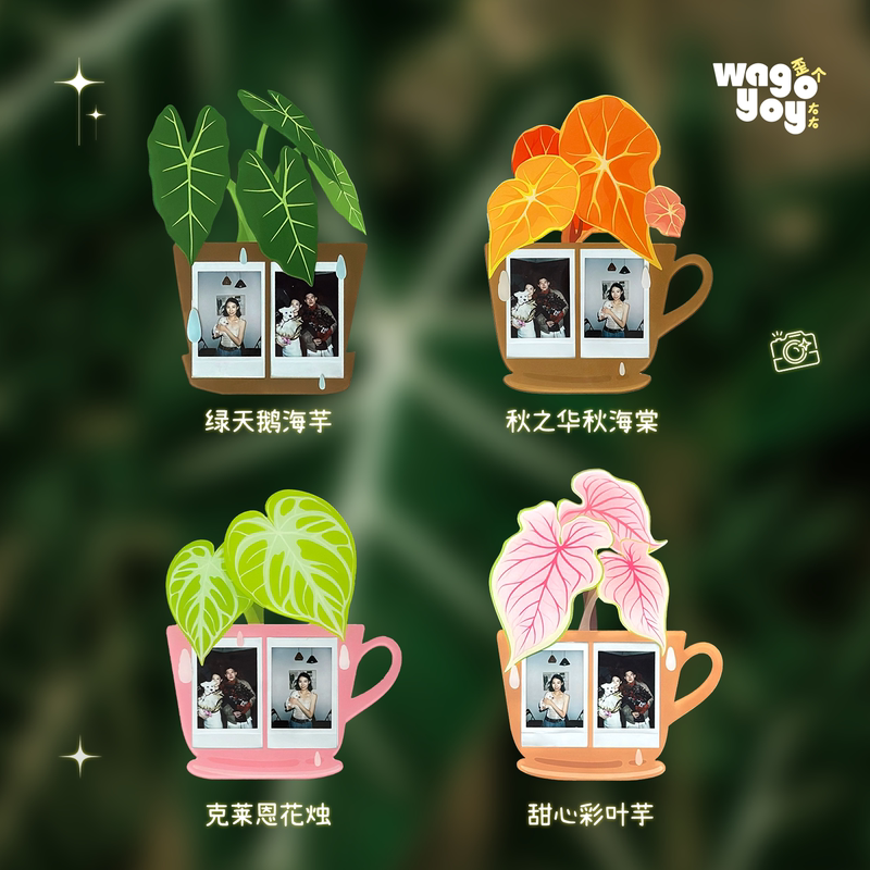 Wagyoyo Hot Plant Series Polaroid Photo Frame Photo Frame 3inch 5inch ins Wind Plant Acrylic Photo Frame Wagyoyo Hot Plant Series Polaroid Photo Frame Photo Frame 3inch 5inch ins Wind Plant Acrylic Photo Frame