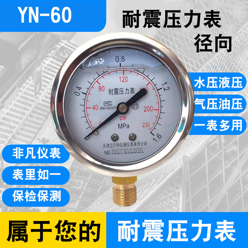 Shock Resistant Pressure Gauge YN60 Hydraulic Hydraulic Gauge YN-60 0-0.6 1.6 2.5 25 40MPA