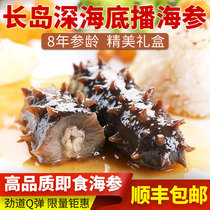 Long Island ready-to-eat sea cucumber 500g Deep sea 8 years Liao ginseng thorn ginseng sea seepage single package gift box SF