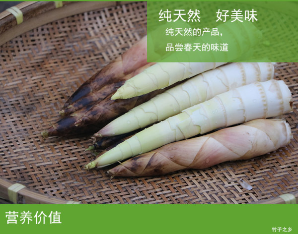 临安特产 绿之傲 天目山 现挖现卖雷笋 春笋 腌笃鲜食材 5斤 下单减+天猫优惠券折后￥26.8包邮
