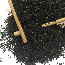 Black Sesame Shandong farmhouse planted self-made fried 500g Ejiao paste pastry fillings authentic ready-to-eat