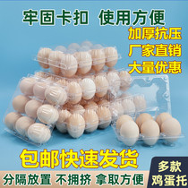 Soil egg packing box Disposable plastic egg tray medium thickened anti-pressure 15 transparent large duck egg packing box