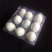 Goose egg tray Duck egg packing box Disposable transparent egg packing box Egg tray plastic large 9-piece tray