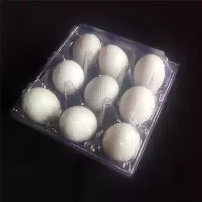 Goose egg tray duck egg packaging box disposable transparent egg packing box egg tray plastic large 9 piece tray
