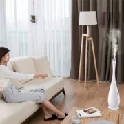 Máy hút ẩm loại sàn điều khiển từ xa nhà phòng ngủ im lặng 5L công suất lớn điều hòa không khí phòng thanh lọc máy hương liệu - Máy giữ ẩm