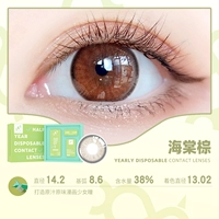 Бегония Браун 14,2 [сладкие и нежные] фавориты+добавить 1 р до 1 р до 1