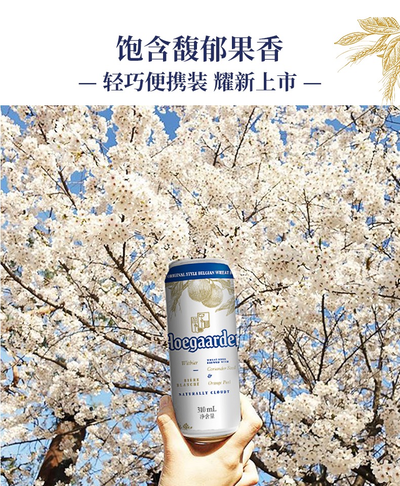 福佳比利时风味小麦白啤酒310ml*6听