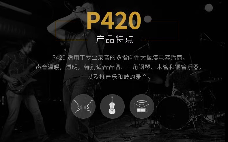 AKG/爱科技P420插图3
