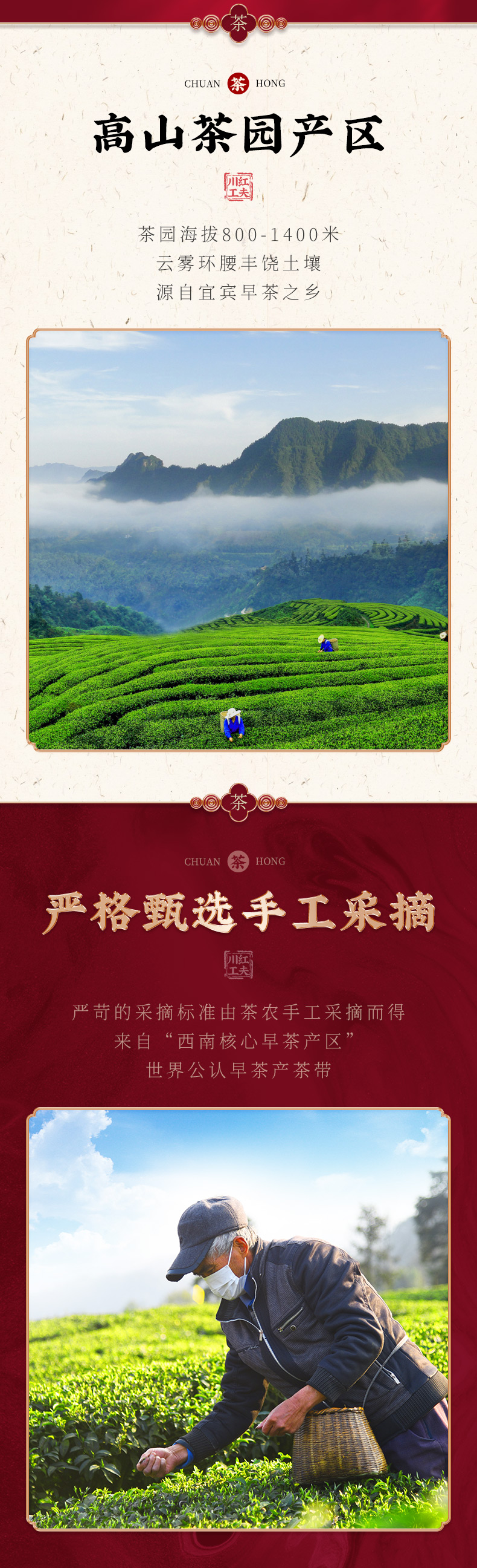川红 金奖85 特级工夫红茶 250g礼盒装 图2