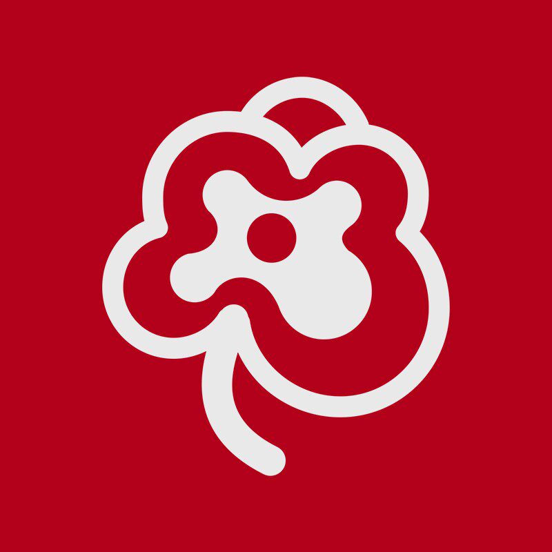 Pansy健康舒适鞋的LOGO