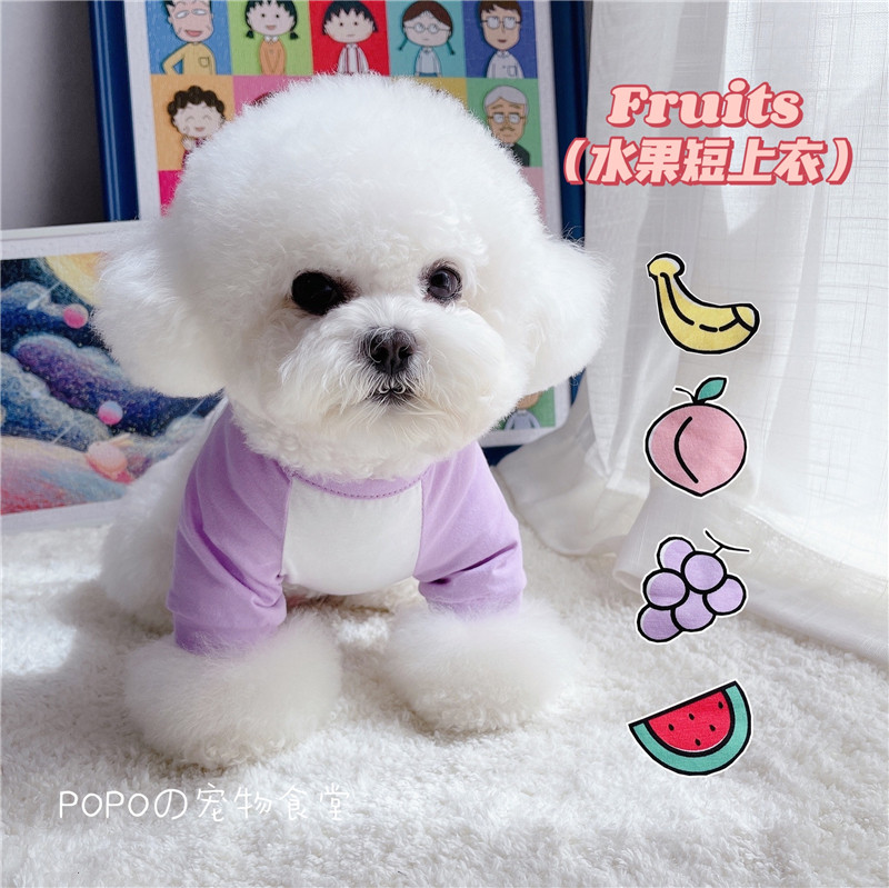 Fruit taste short blouses ~ puppies kittens small dogs pure cotton spring summer clothes breathable elastic sunscreen teddy Bears