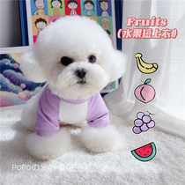 Fruity Short Tops ~ Puppy Cat Puppy Cotton Spring Summer Clothing Breathable Stretch Sunscreen Teddy Bear