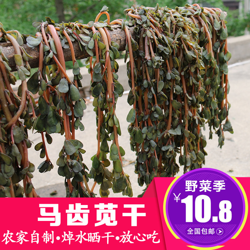 (2 copies) wild horse teeth purslane dry farmhouse terrafic purslane tea fresh wild vegetable buns stuffed 250g