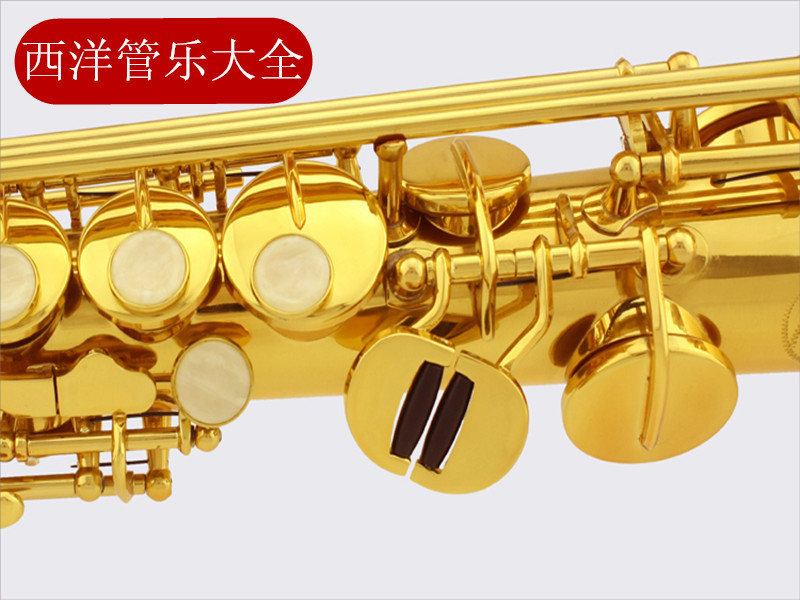 [Meissic] saxophone soprano MSS-992 xuống B tweeter tích hợp nhạc cụ ống saxophone - Nhạc cụ phương Tây đàn classic guitar