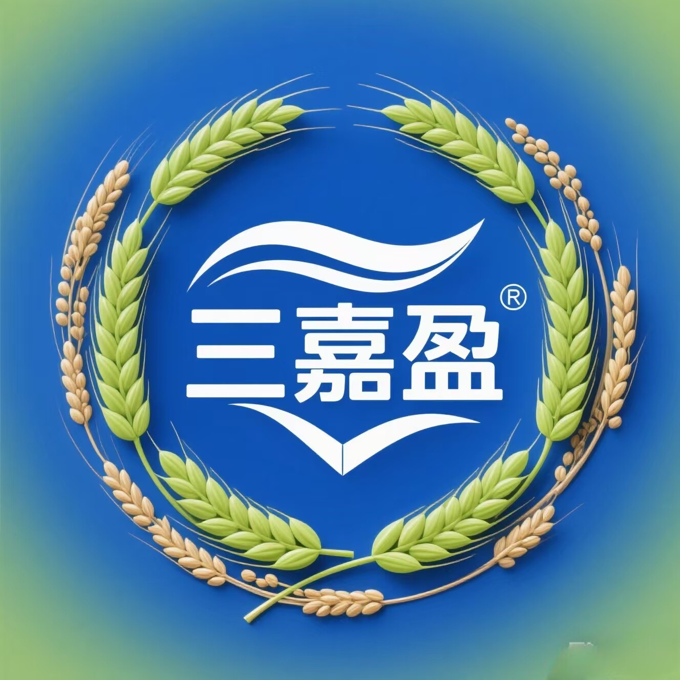 三嘉盈健康产业