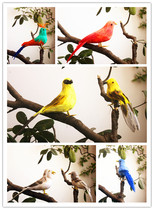 Animal model simulation Magpie yellow bird lark feather bird photography teaching props toy