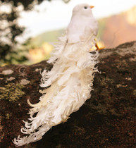 Animal model simulation Phoenix Peacock Magpie color feather crafts photography props scene decoration