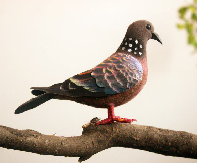 Animal model simulation spotted dove wild spotted dove color feather simulation bird photography textbook toy
