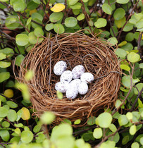 Simulation model Straw Birds Nest Nest mini simulation quail egg pigeon egg scene decoration decoration photography props