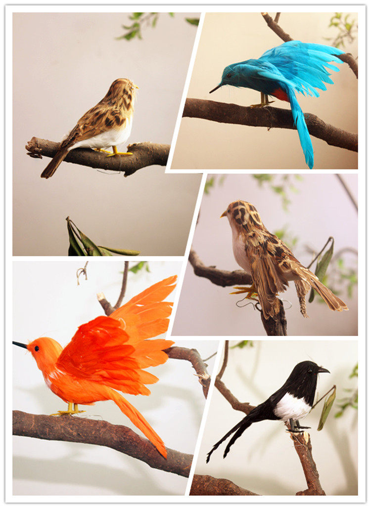Animal model simulation magpie, oriole bird, sparrow, color feather, bird photography, educational props toy