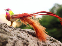 Animal model toy simulation Phoenix Peacock Magpie feather bird crafts photography props scene decoration