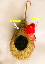 Animal model bird simulation various birds nest bird egg simulation Birds Nest photography stage props scene wall decoration