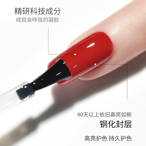 Келли Кесса закаленное уплотнение уплотнения износ -устойчивый к царапинам