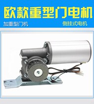 Heavy Duty Automatic Door Motor European Flip Motor Device Heavy 250 Induction Door DC Brushless Motor