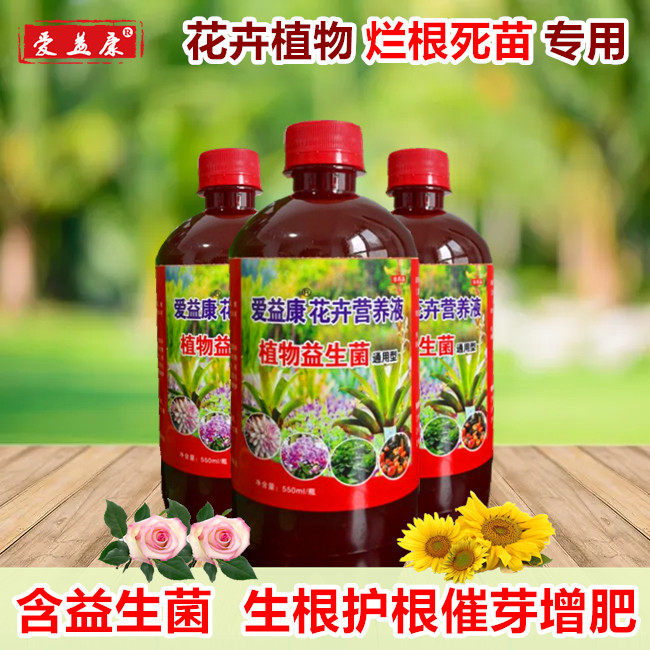 EM Yiyikong EM Yizu Yi Langyi Orchid Orchid Flower Hydro-Tree Flower Liquid Flower