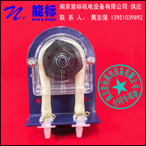 Gas analyser condenser drain peristaltic pump 50TYZ-5 MOTOR 220V 8RPM CW 4W