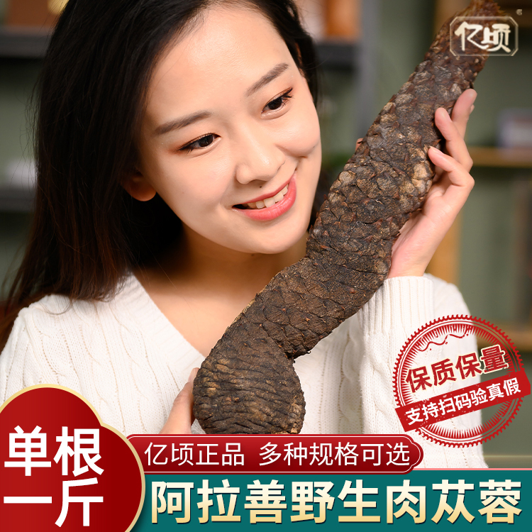 Alla Good Cistanche Sliced Wild Special class Inner Mongolia Fresh dry sheet Lock Yangobi Wort Ma Curry Wine Material