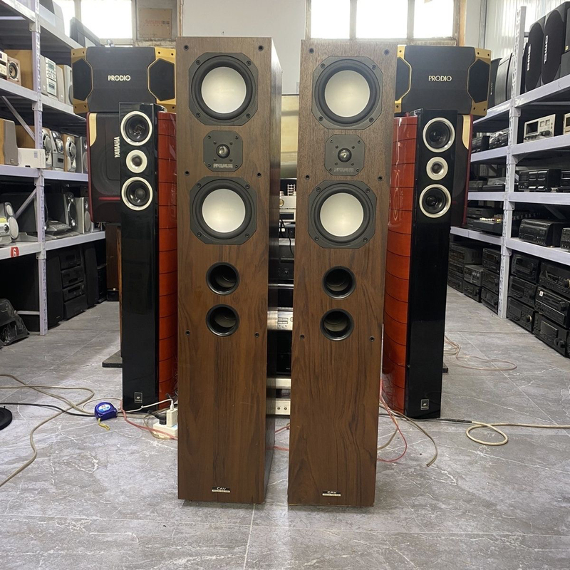 Cav Triumph No. 2 High-End Floor-Standing Hifi Speakers 10inch Large Side Bass Units 6.5inch Aluminum Midrange