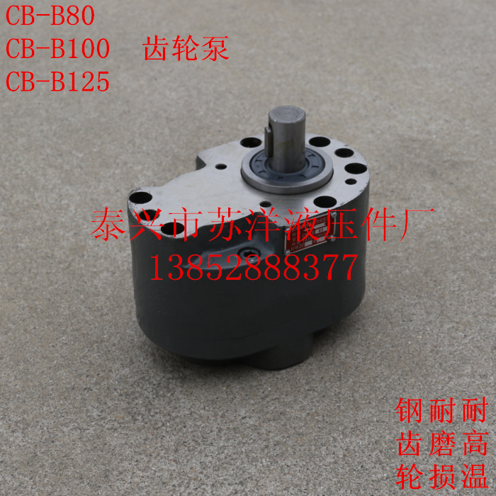CB-B80 CB-B100 CB-B125 Bidirectional gear pump oil pump dilute station special lubrication