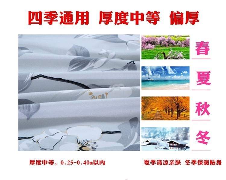 Giường ngủ trải giường đơn mảnh mùa xuân giường váy đặt giường chống trượt trampoline trải giường 1,5m1,8 mét dày 2,0 mét - Váy Petti váy giường đẹp	
