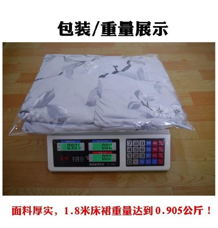 Giường ngủ trải giường đơn mảnh mùa xuân giường váy đặt giường chống trượt trampoline trải giường 1,5m1,8 mét dày 2,0 mét - Váy Petti váy giường đẹp	