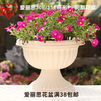Alice Cup type eco-friendly resin European flower pot home gardening balcony multi-meaty vegetable Roman pot 30E 35E