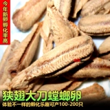 Бесплатная доставка китайский большой нож Большой нож Молитва яйца богомола молитва Яйцо для семян