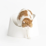 Открытая кошачья туалетная туалетная туалетная туалет