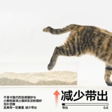 Кошачья кошачья кошка тофу бентонит смешанный песчаный яичный кошачь