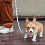Туяная веревка с пиданой, противогенообразовая безопасная веревка, маленькая и средняя для собак, ходящая собачья веревка с цепью собаки