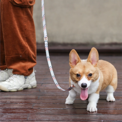 Туяная веревка с пиданой, противогенообразовая безопасная веревка, маленькая и средняя для собак, ходящая собачья веревка с цепью собаки
