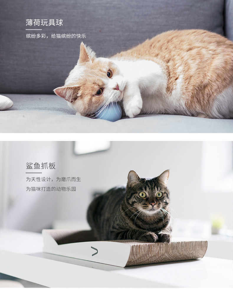 PIDAN铲屎官套餐