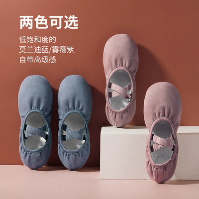 New children's dance shoes women's soft bottom lace-free cat claw shoes professional adult practice shoes teacher verification test canvas shoes